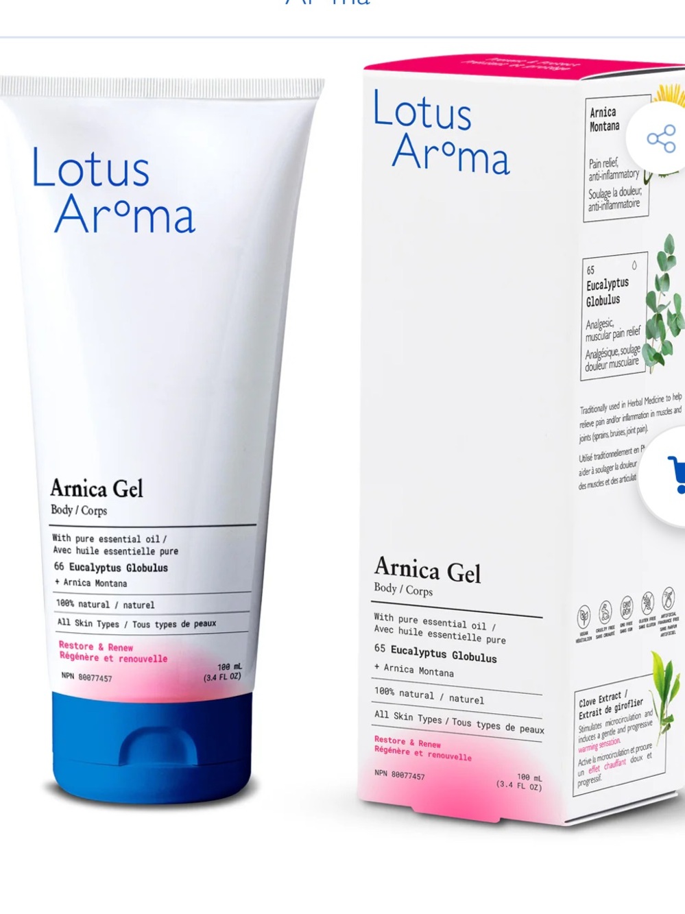 Lotus Aroma Arnica Gel with Eucalyptus  Globulus